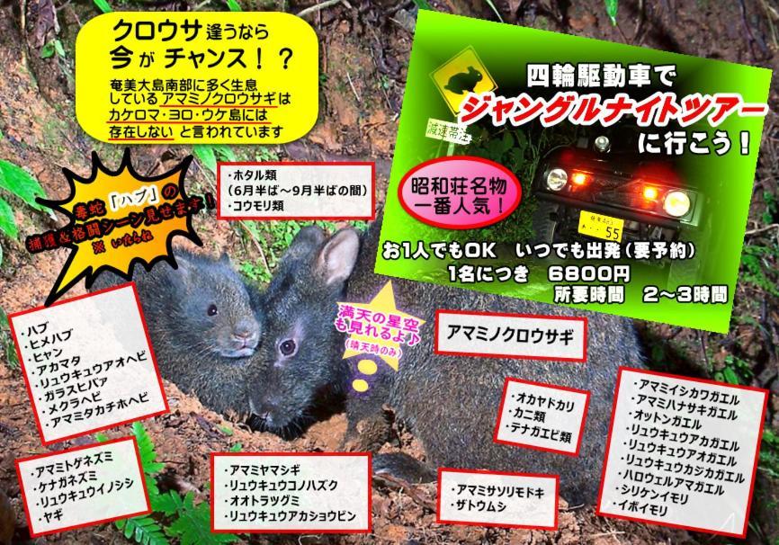 Amami Guest House Showa-So Setouchi  Esterno foto